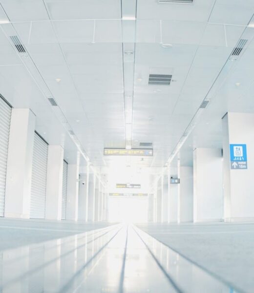 pexels-hngstrm-13127566