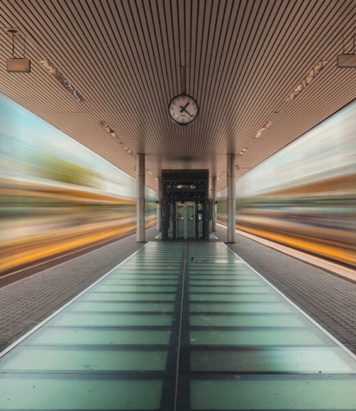 pexels-szaboviktor-4503023