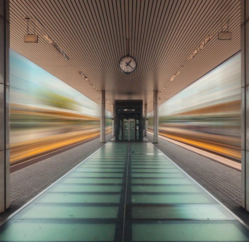 pexels-szaboviktor-4503023