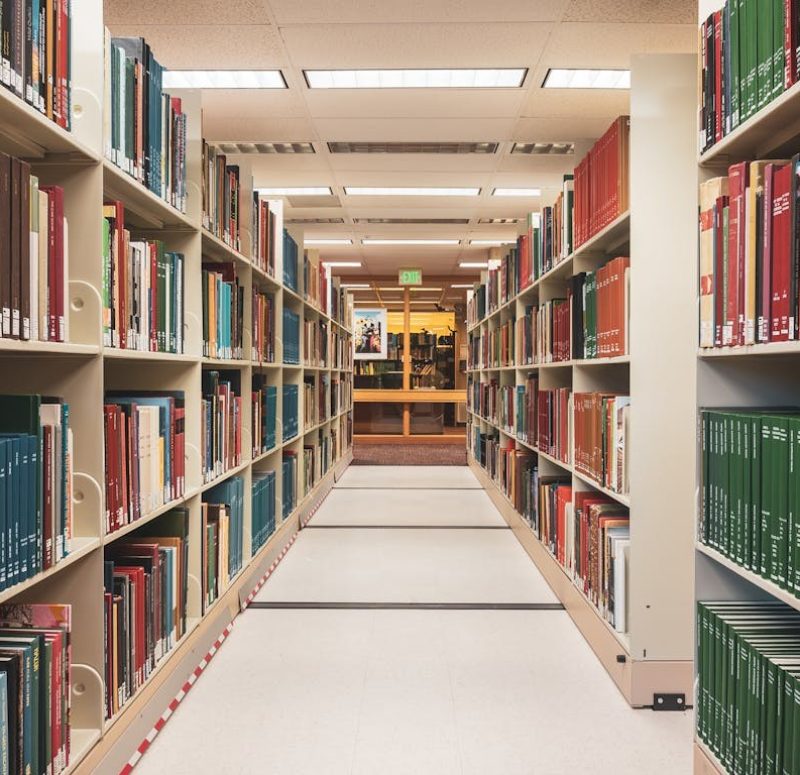 pexels-zetong-li-880728-16689057